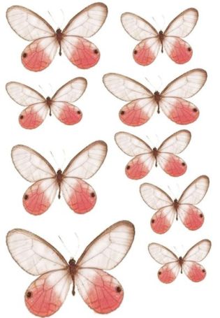 Розовые бабочки картинки