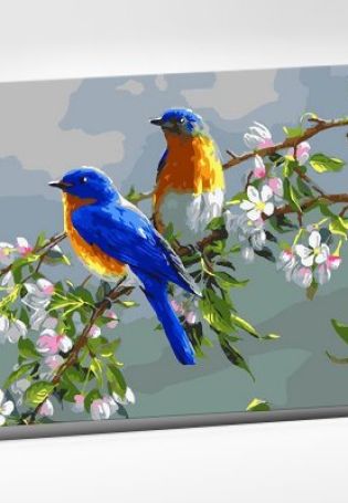 Картинки с птицами и солнцем