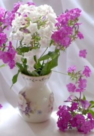 Цветы в вазе картинки