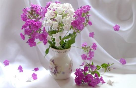 Цветы в вазе картинки