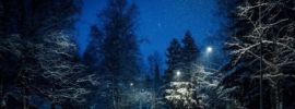 Снег в ночи картинки