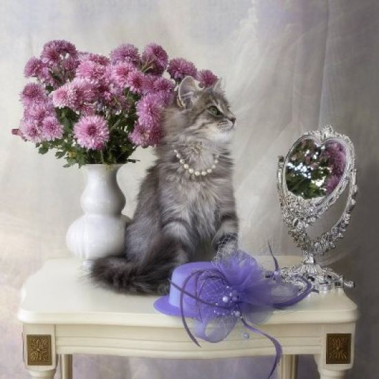 Красивые картинки с котами и цветами