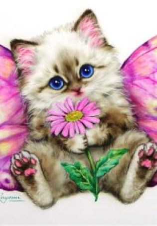 Картинка с котиком и бабочками