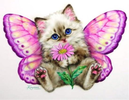 Картинка с котиком и бабочками