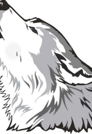 Легкий рисунок волка