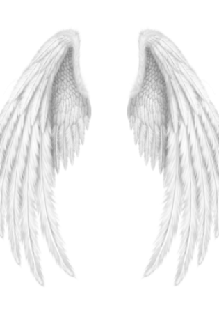 Рисунок крылья ангела