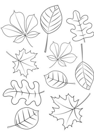 Рисунок листья деревьев