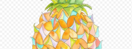 Рисунок ананаса
