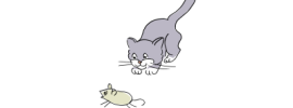 Кот и мышь рисунок