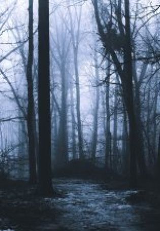 Темный лес обои на телефон