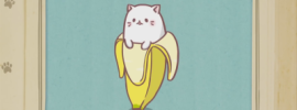 Кот банан обои