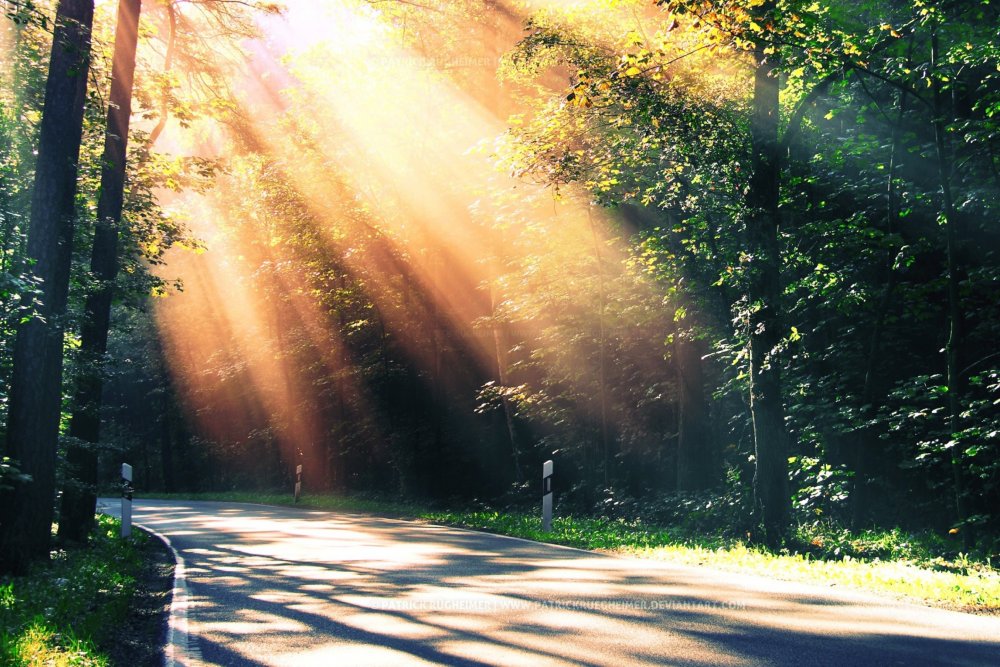 Природа солнце