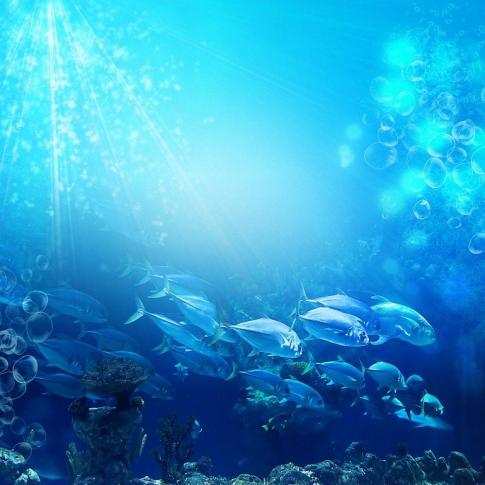 Морской фон