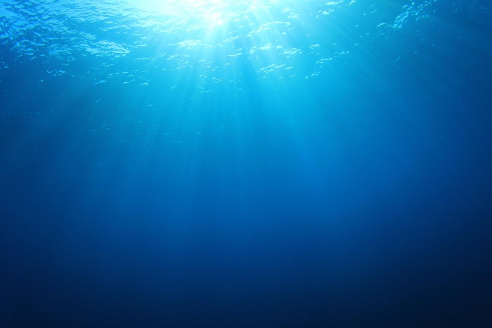 В толще воды