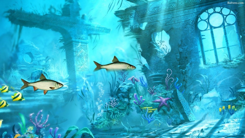 Фон Морское царство