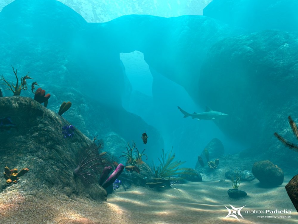 Подводный мир без рыб