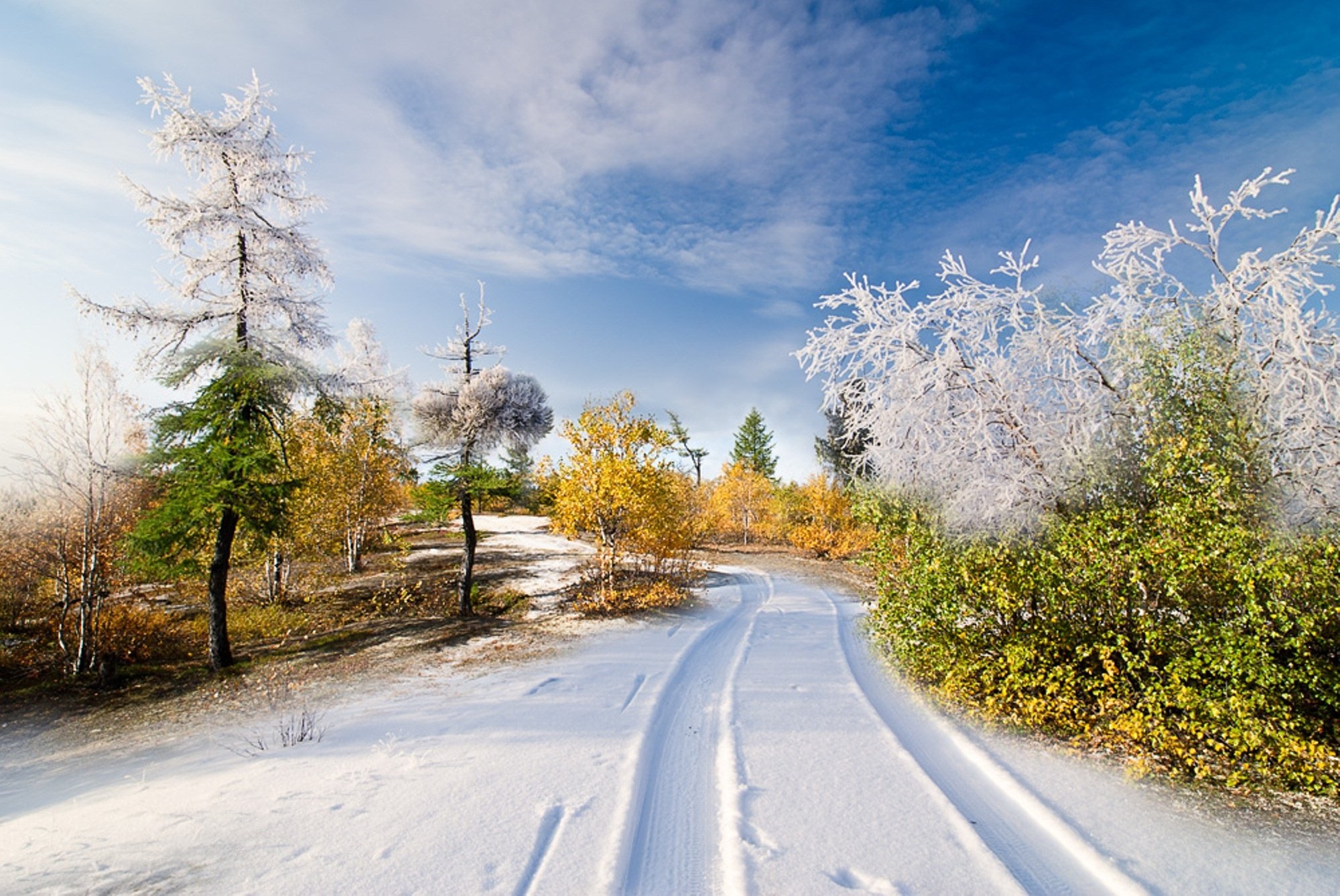 Фф лето в январе. Зимняя природа. Зима пейзаж. Красивая зима. Снежный пейзаж.
