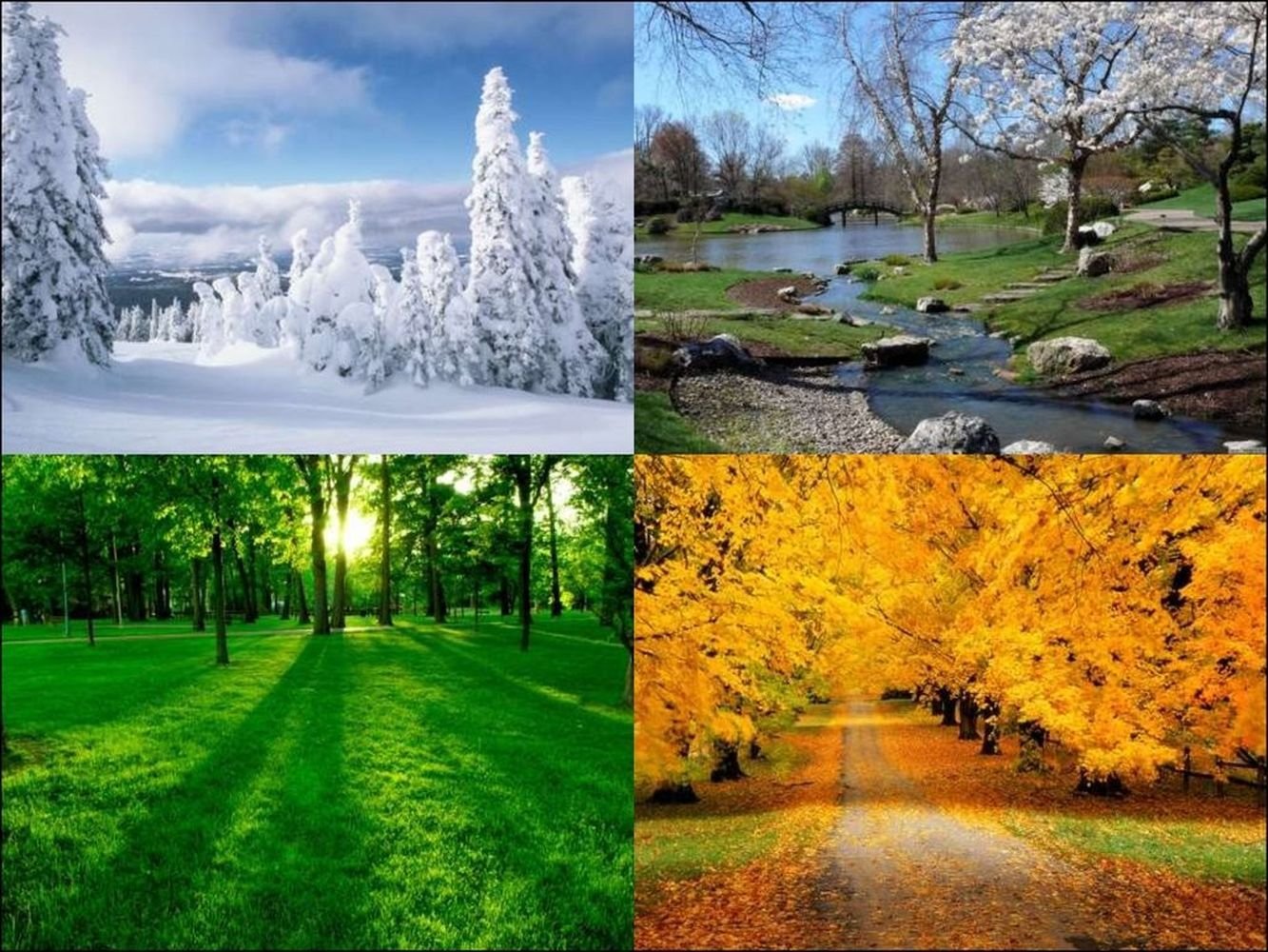 Точным сигналом приближения весны лета осени. Времена года. Пейзаж в четырёх времени года.