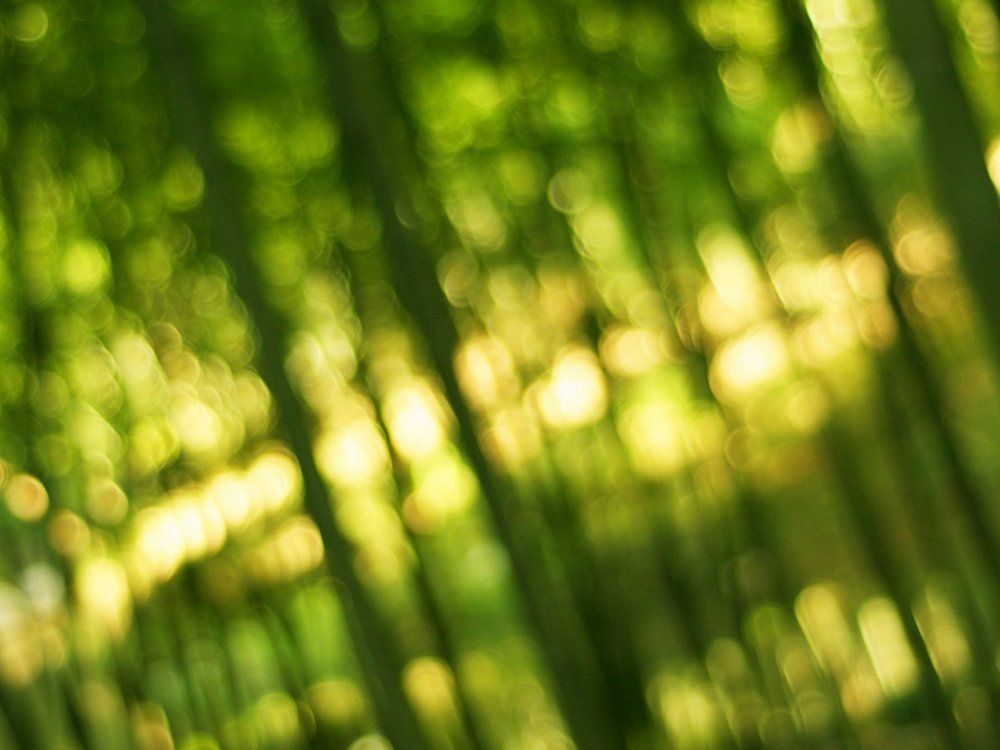 Боке природа