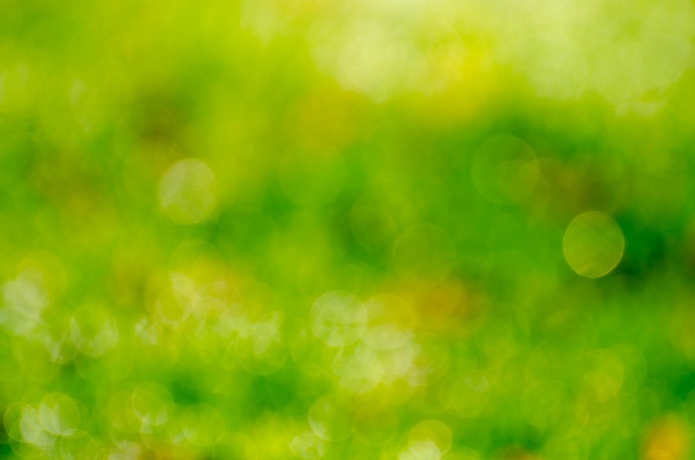 Боке зелень