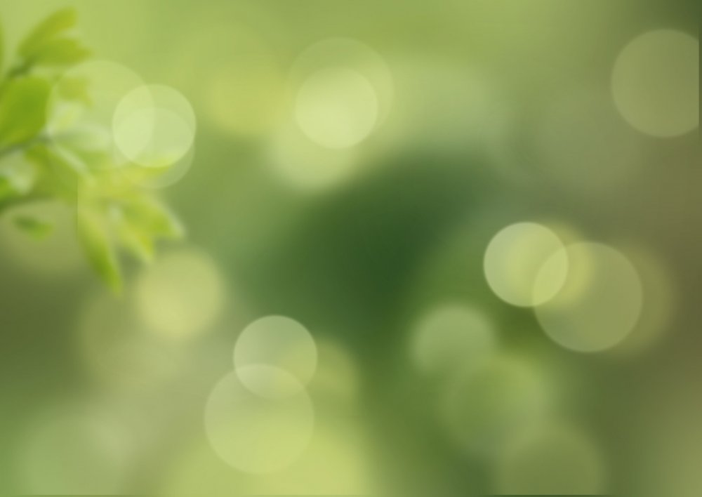 Размытая зелень