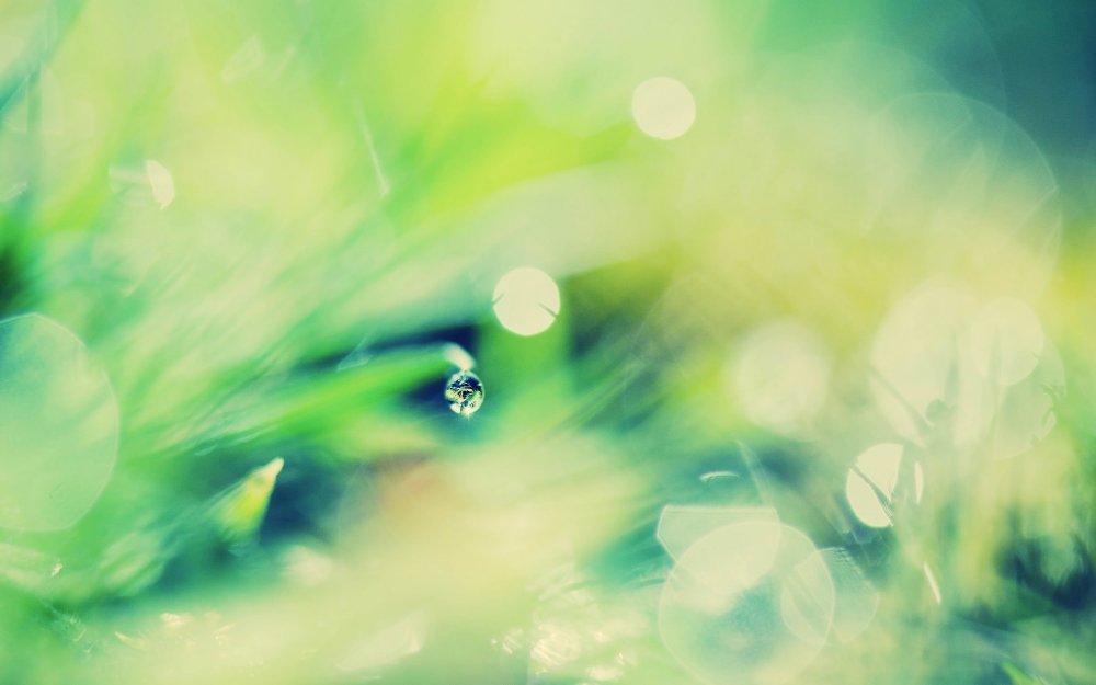 Нежный зеленый