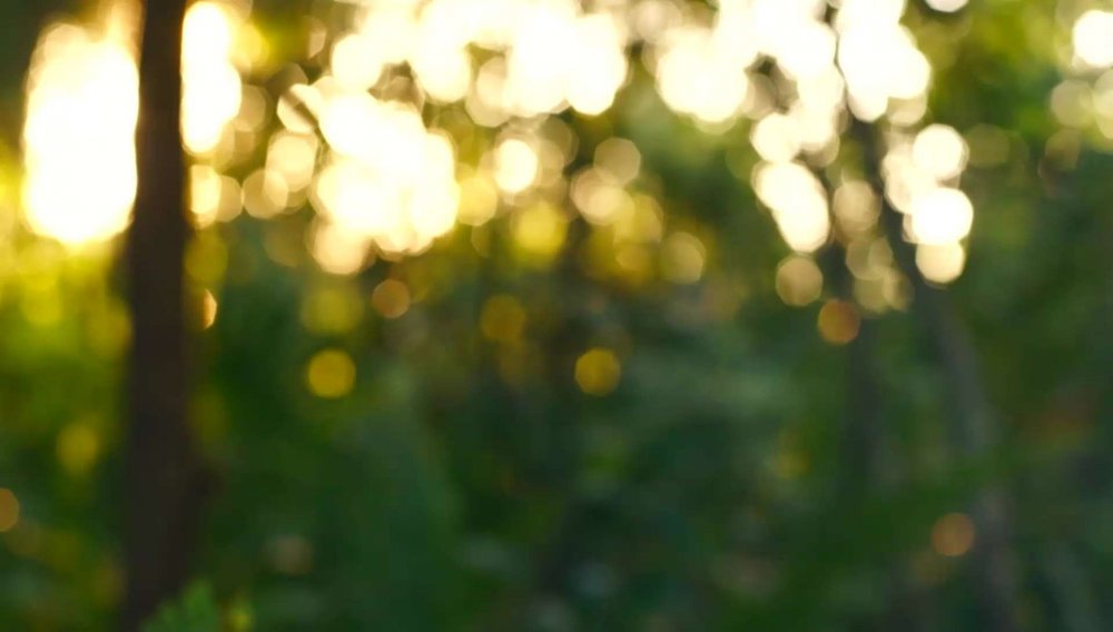 Размытый фон