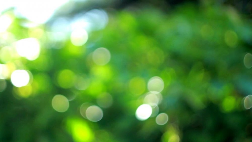 Размытый фон