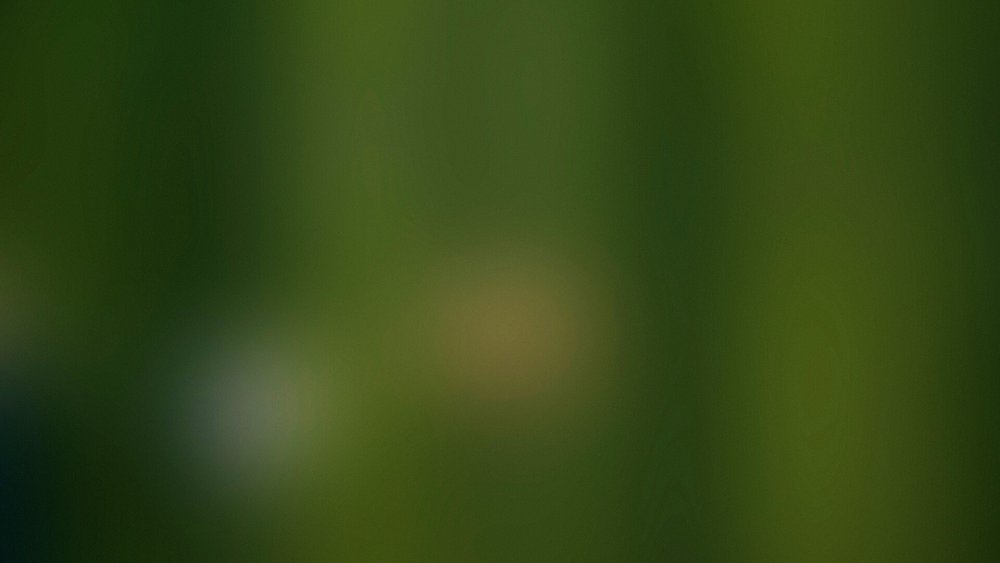 Болотно зеленый фон