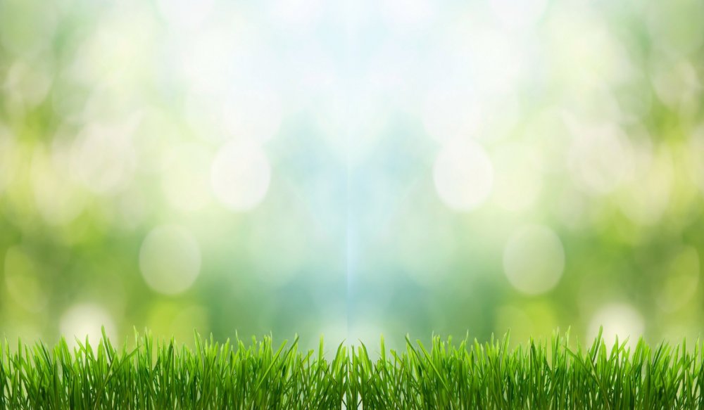 Фон для презентации природа