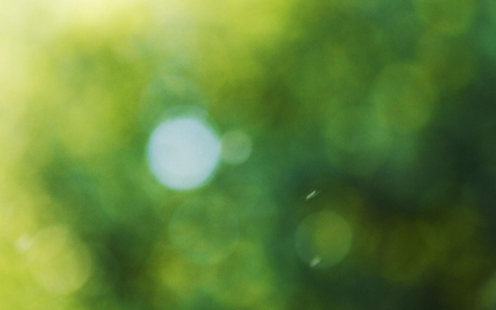 Зелень в размытии