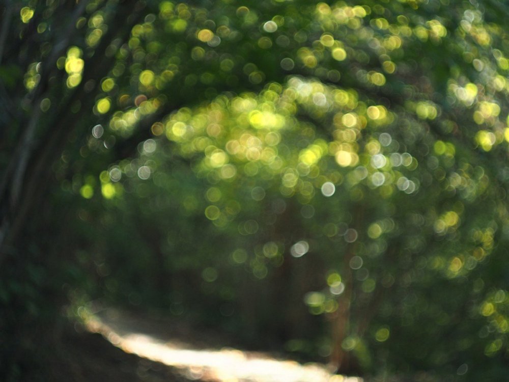 Размытый фон