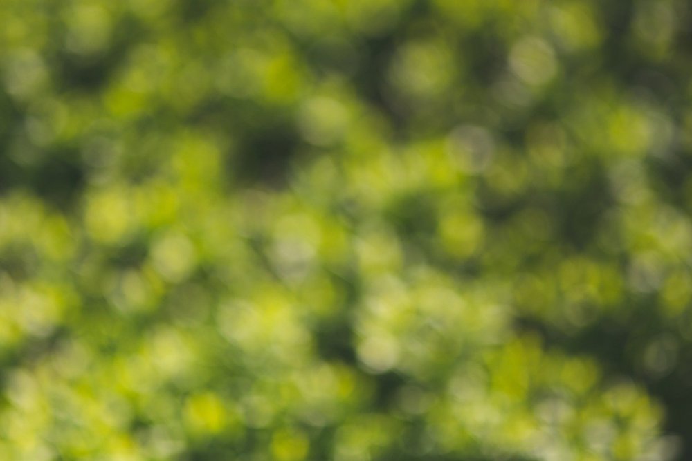 Фон боке зеленый с желтым