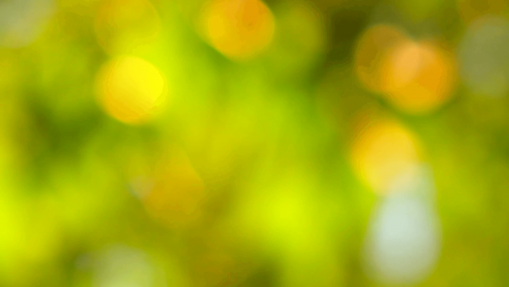 Размытый фон