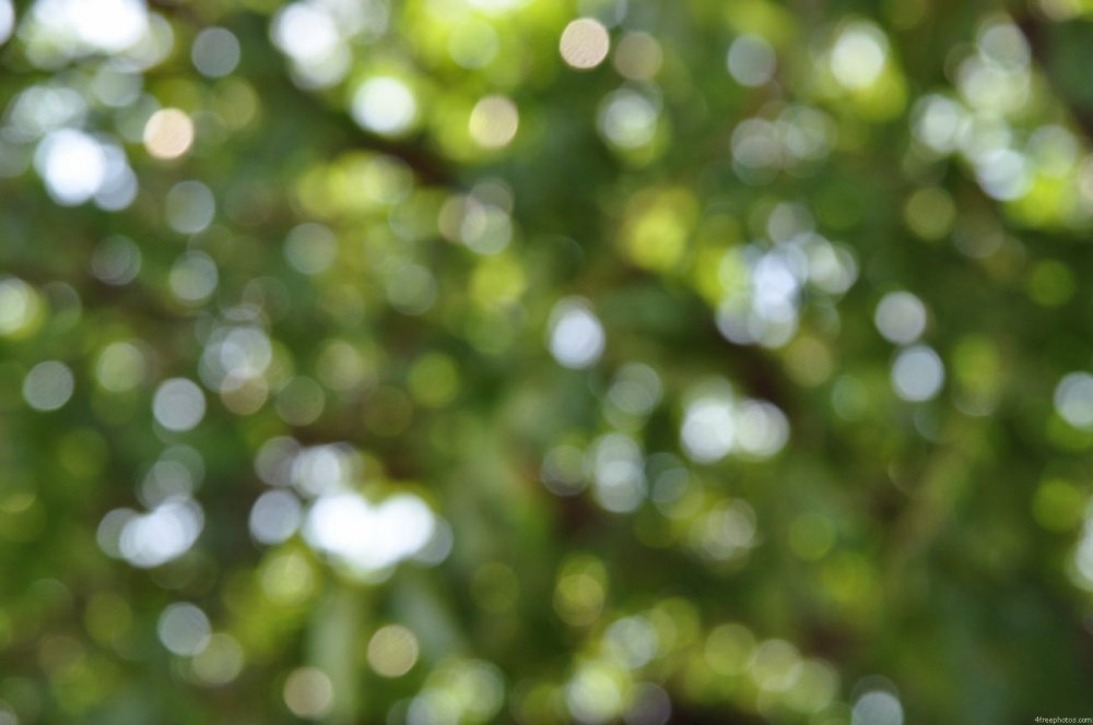 Боке природа