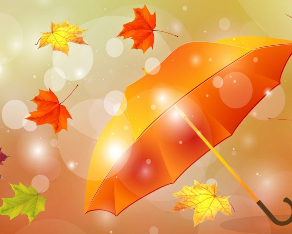 Осенние листья фон