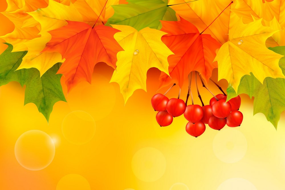 Осенние рамки для детского сада