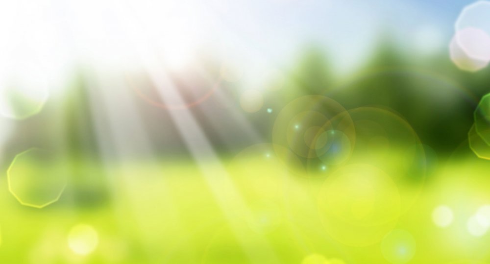 Зеленый размытый фон