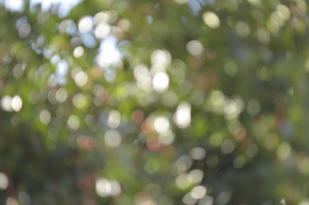 Размытый фон для портрета