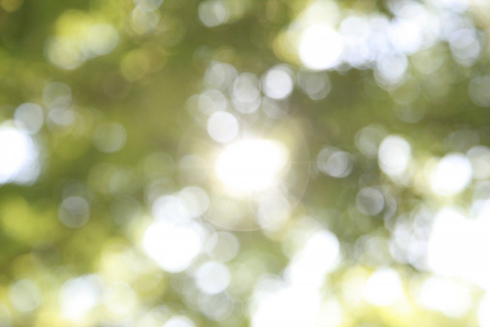 Боке зелень
