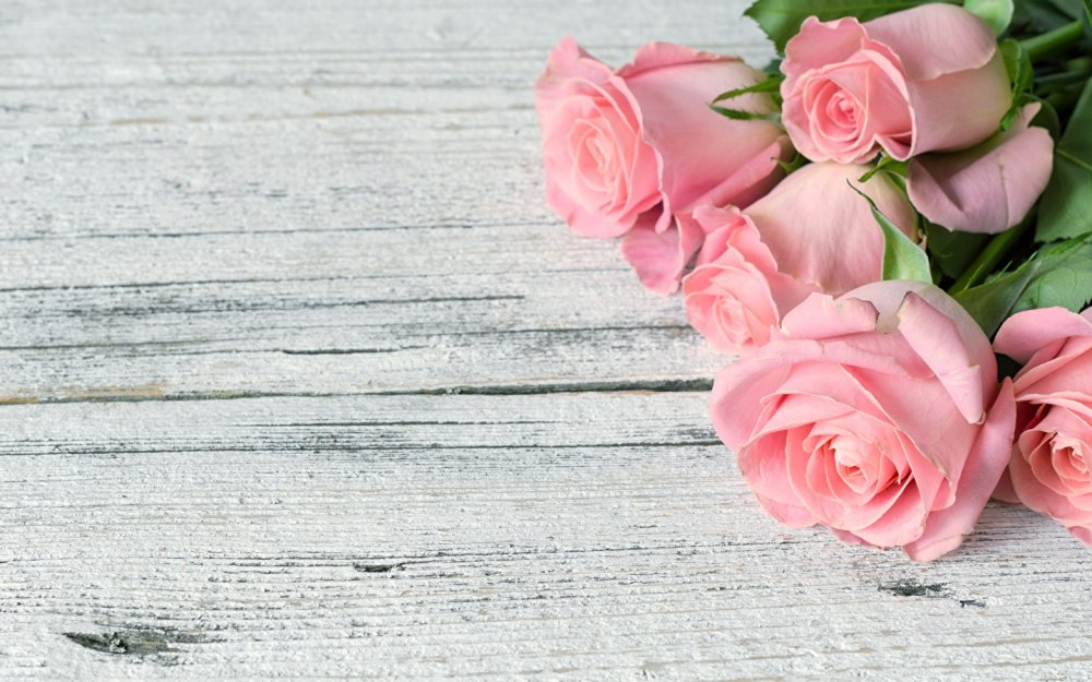 Фотофон розы