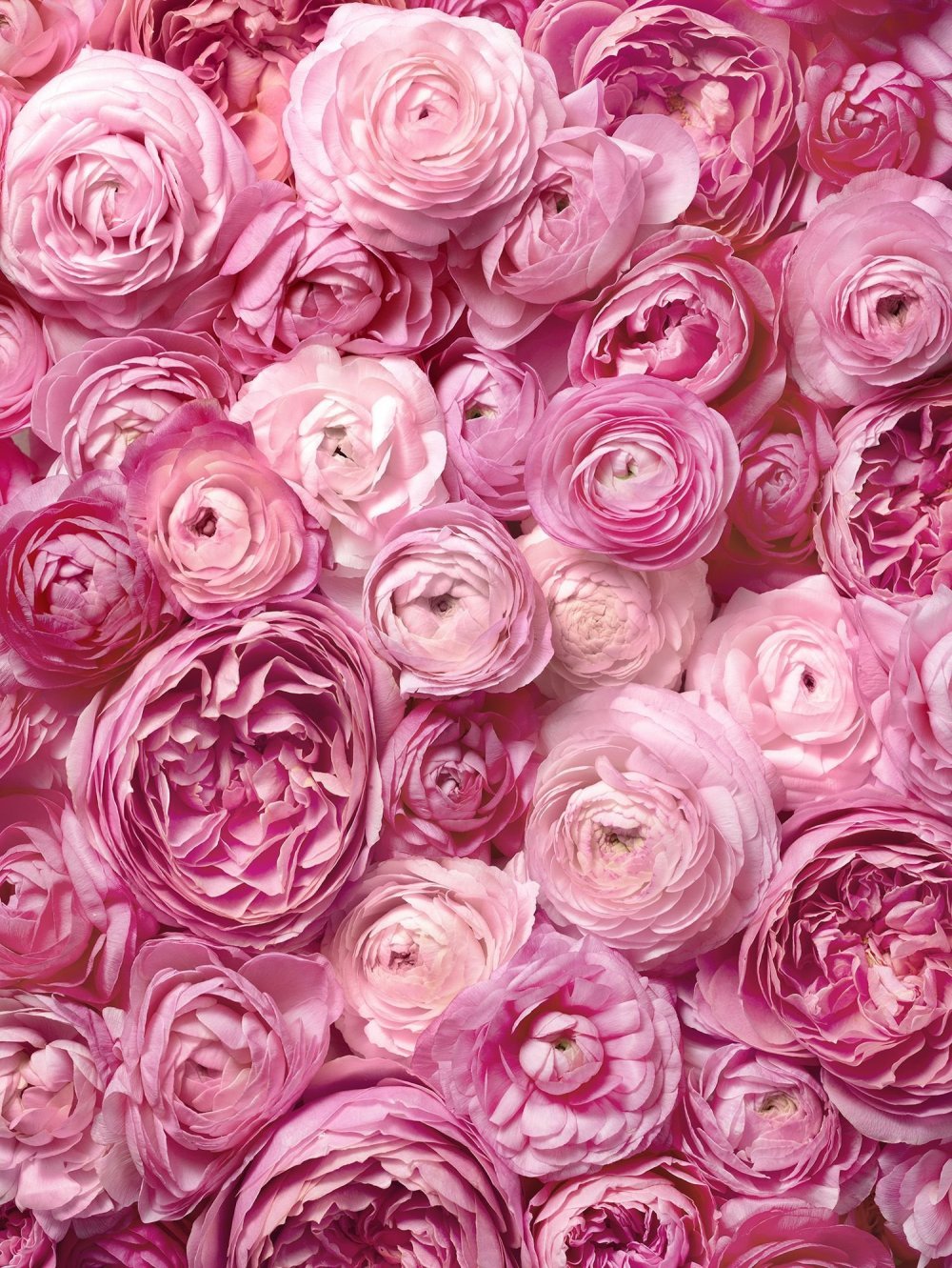 Цветочный фон