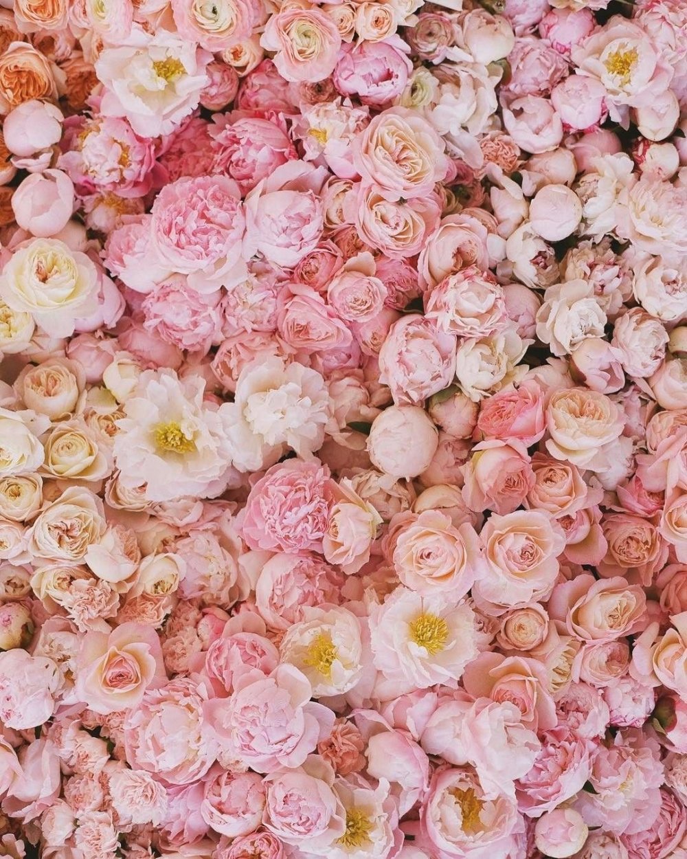 Цветочный фон