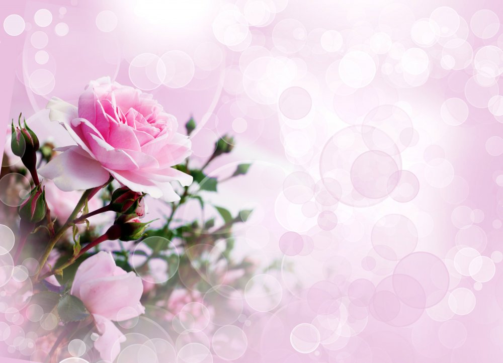 Нежный фон с цветами