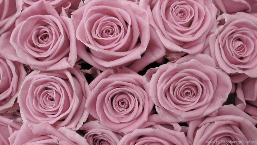 Розовые нежные