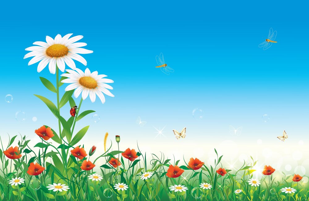 Фон с ромашками для детского сада