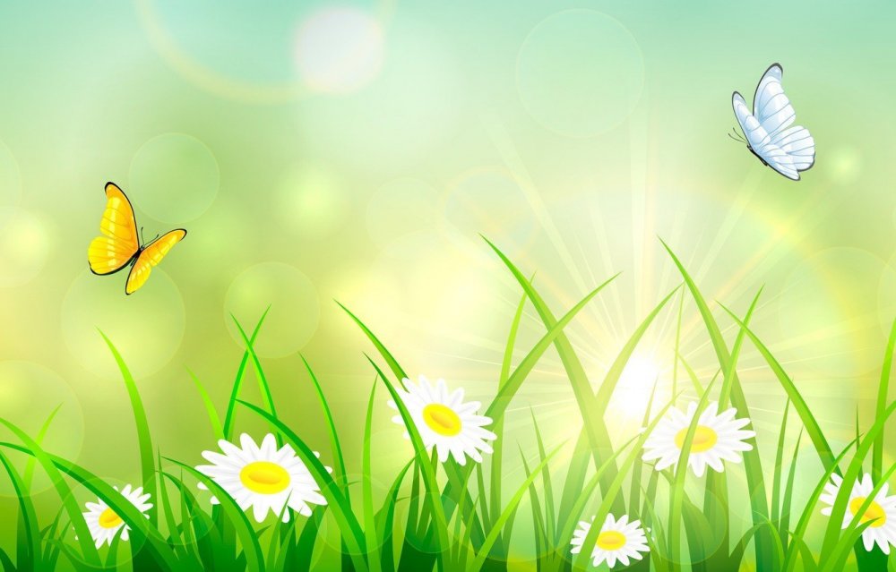 Фон лето для детей