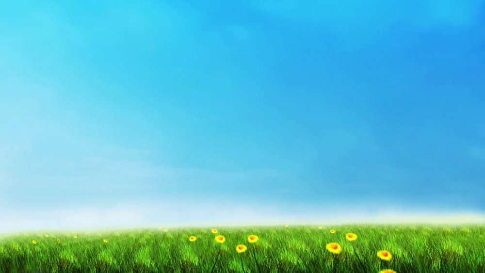 Фон для презентации лето