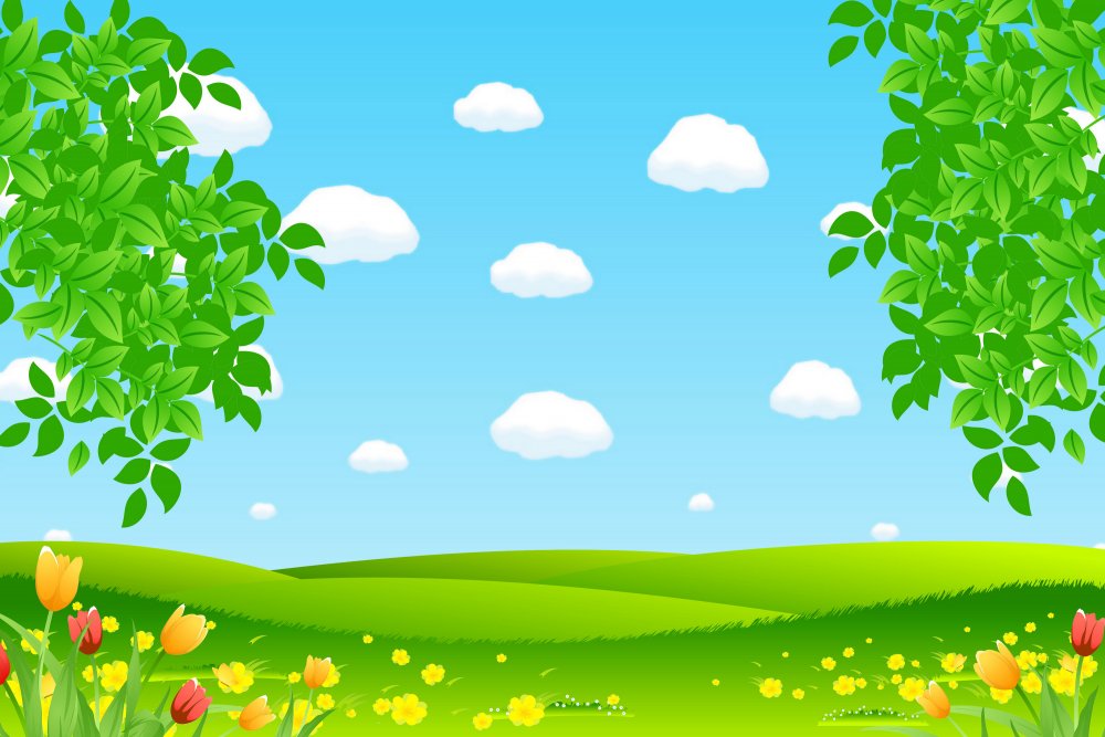 Фон Полянка