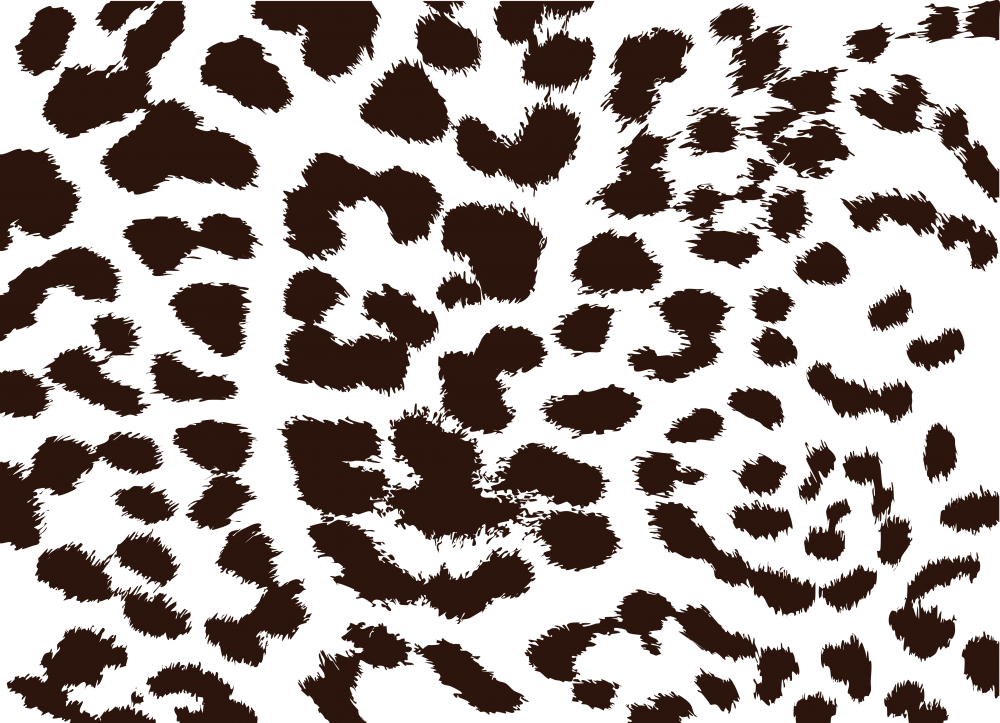 Шкура леопарда